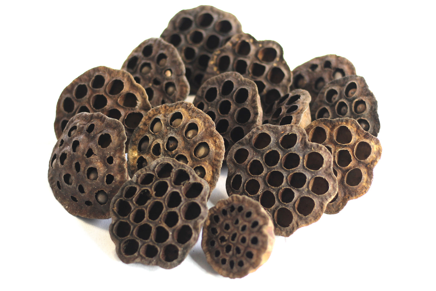 Dried lotus pods. size. 2.5 to 3 inches. 12 pods per order