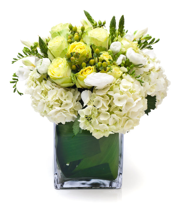 White Bliss. Arranged in a square glass vase.The specific types of flowers may vary based on seasonal availability.