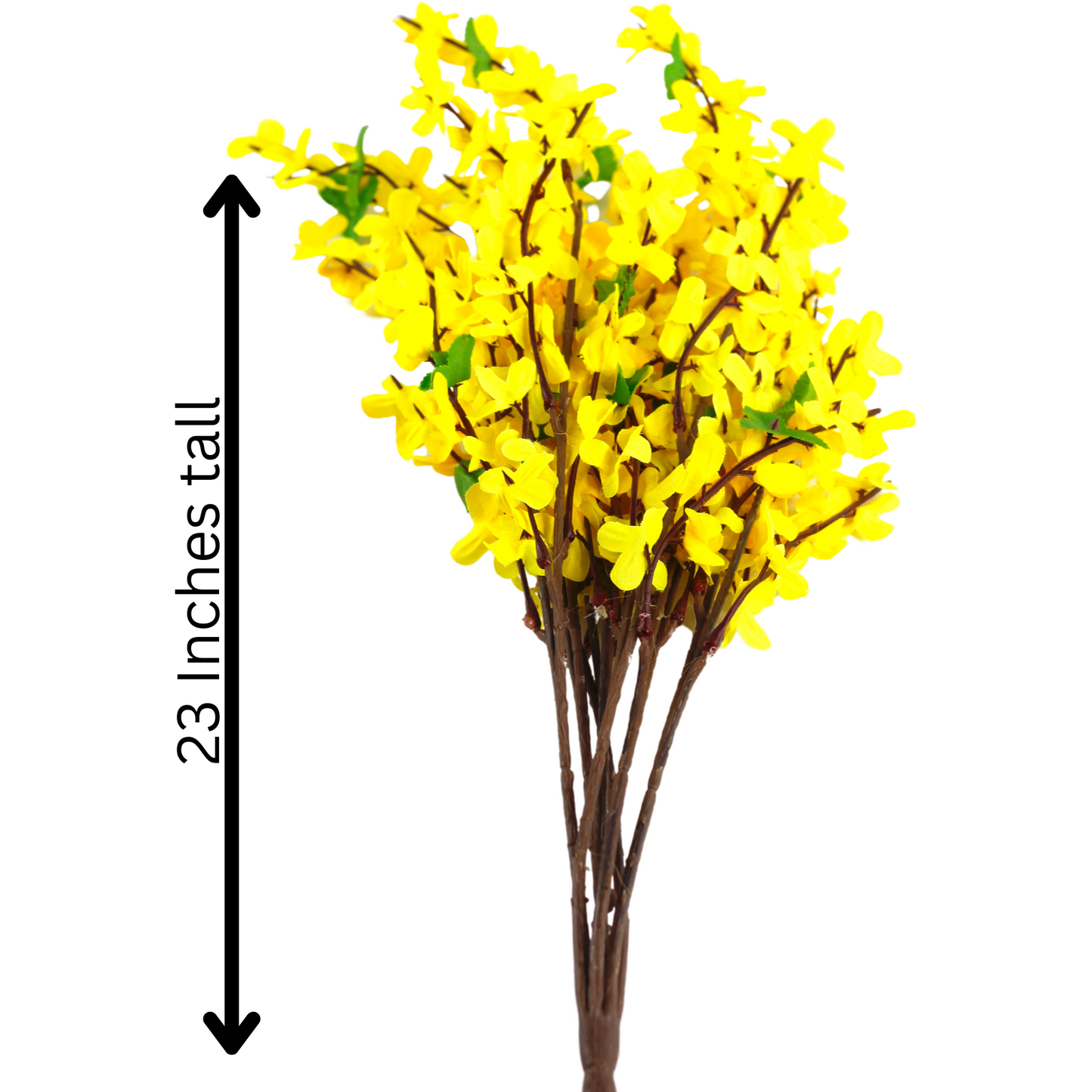 23 inch forsythia flower bush