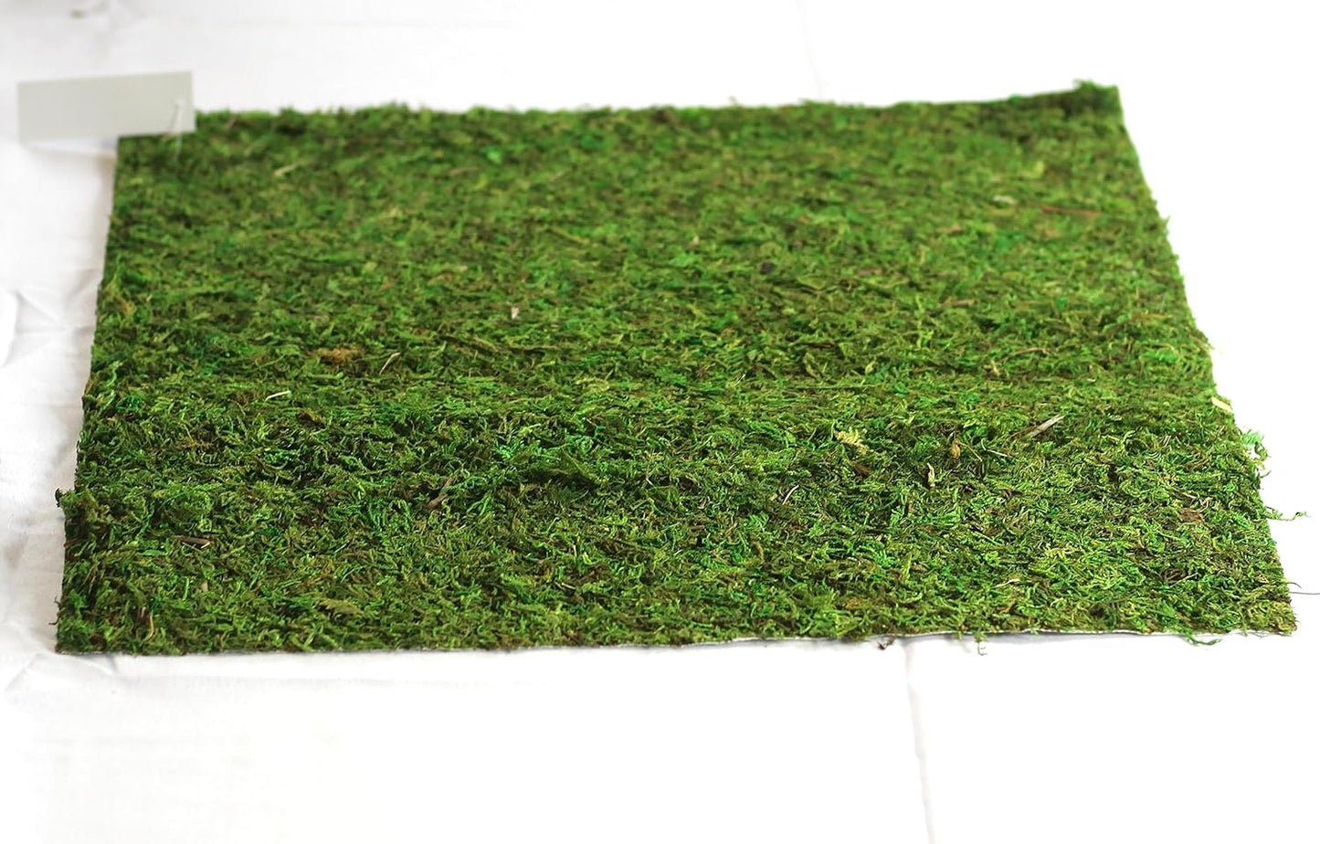 Preserved Moss Runner and Mats (18In X 16In Mat)