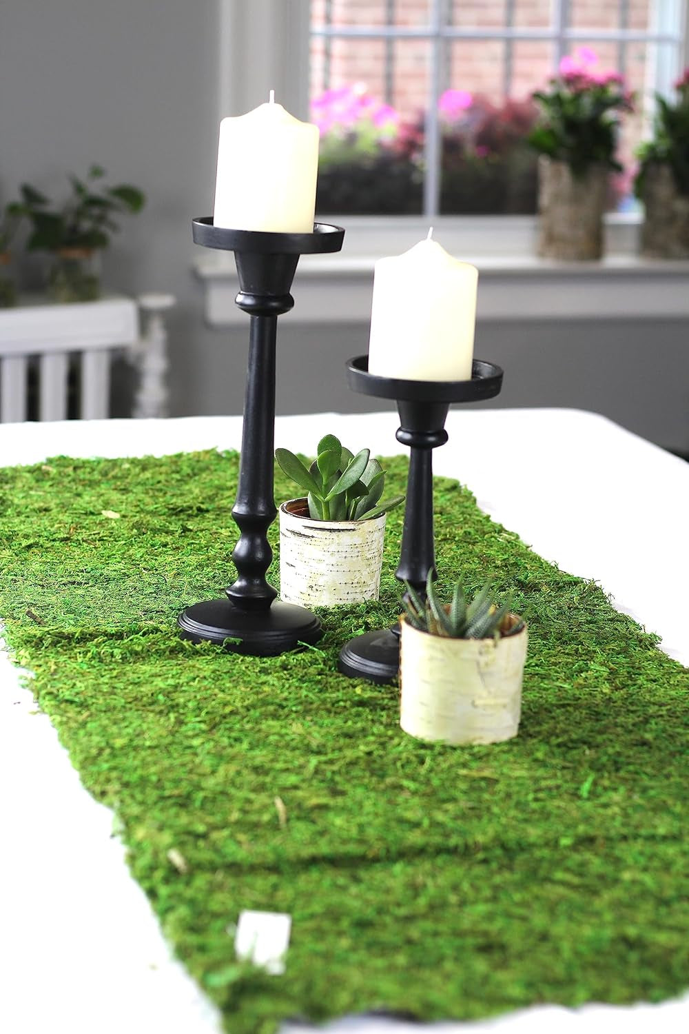 Preserved Moss Runner and Mats (12In X 6Ft)