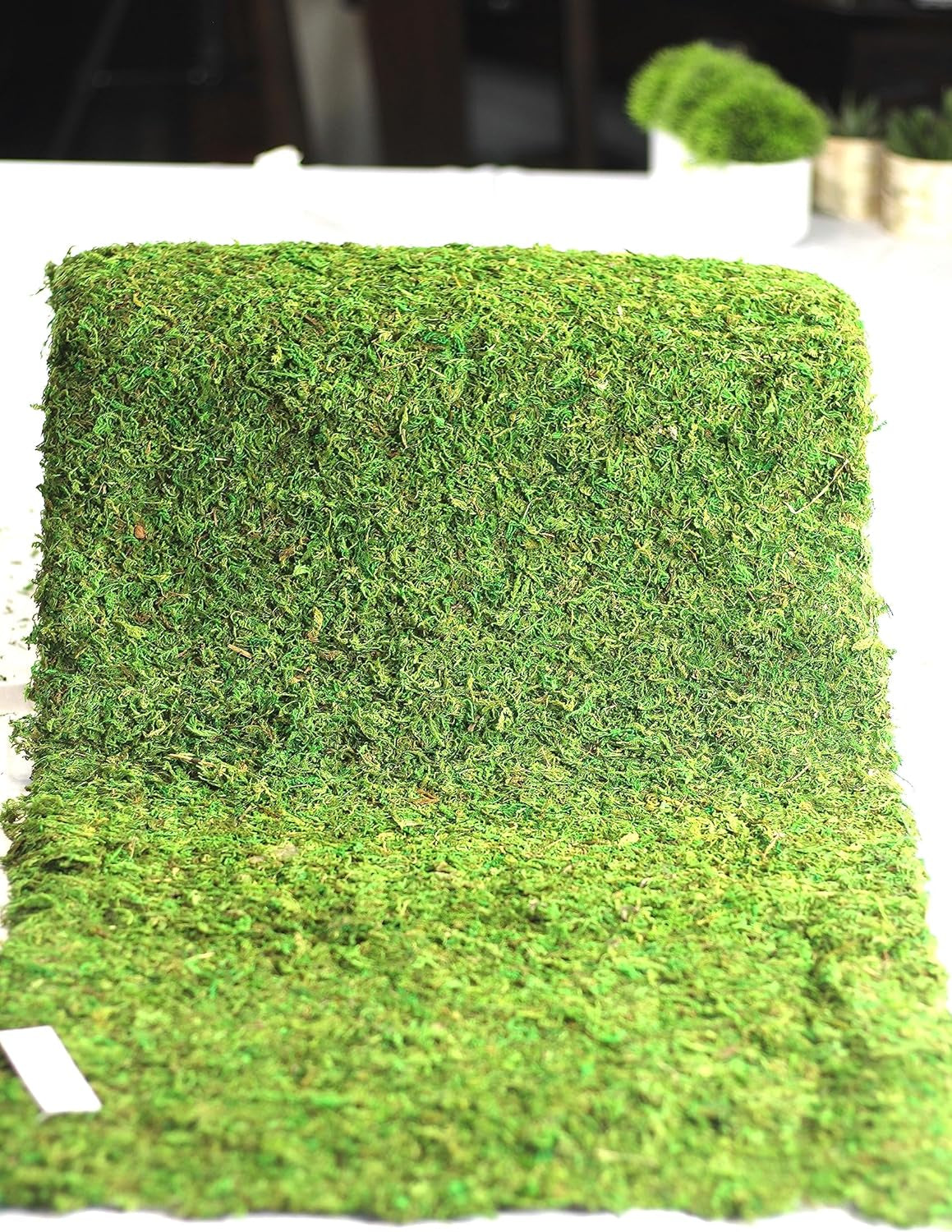 Preserved Moss Runner and Mats (18In X 25Ft Runner)