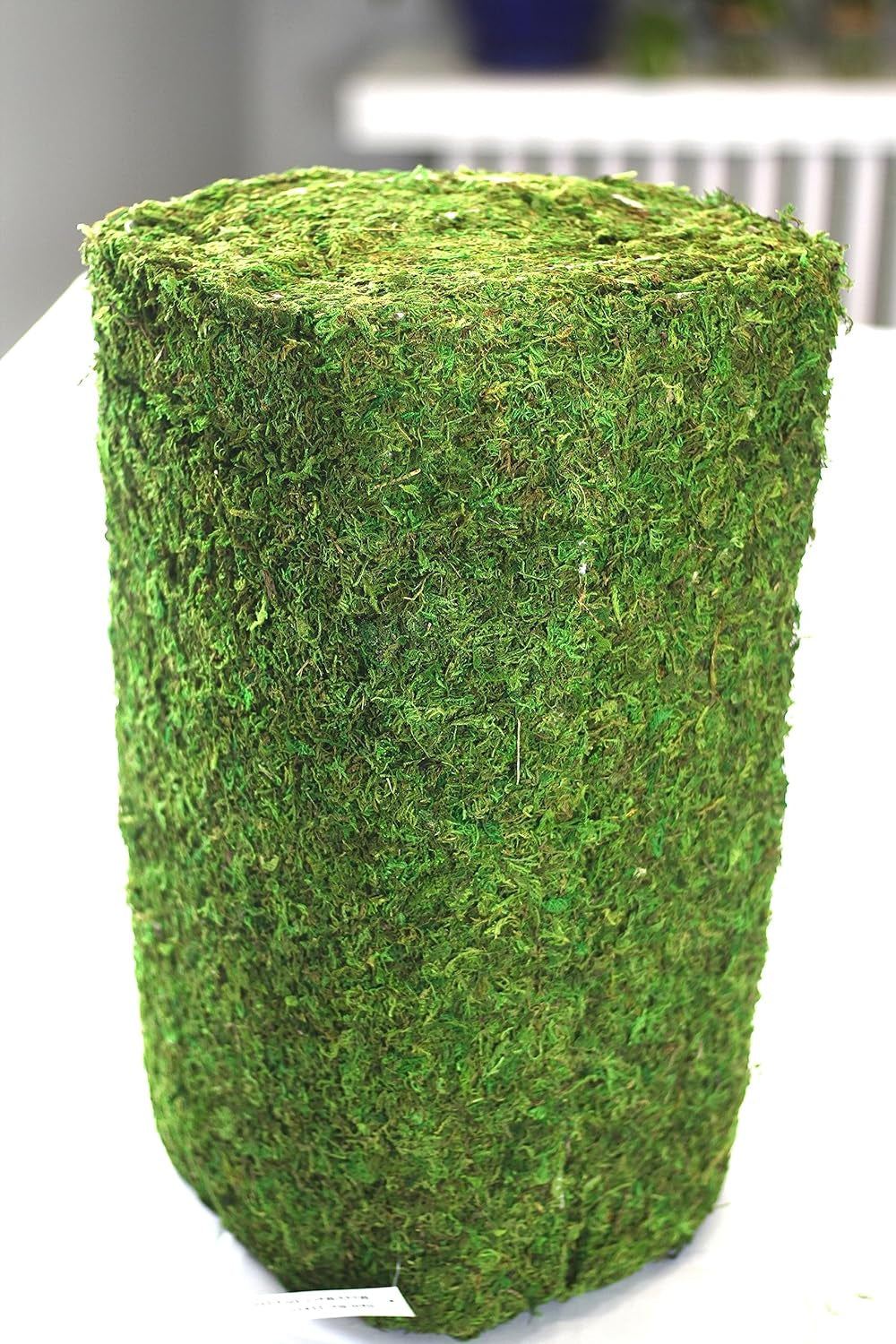 Preserved Moss Runner and Mats (18In X 25Ft Runner)