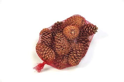 cinamon scented pinecones