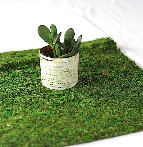 Preserved Moss Runner and Mats (18in x 48in Runner)