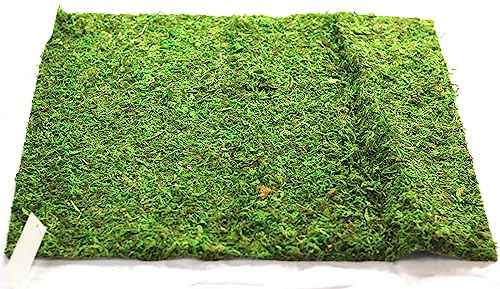 Preserved Moss Runner and Mats (18in x 48in Runner)