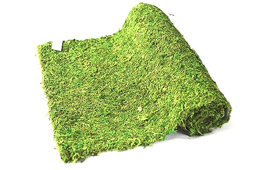 Preserved Moss Runner and Mats (18in x 48in Runner)