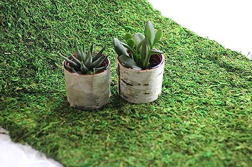 Preserved Moss Runner and Mats (18in x 48in Runner)