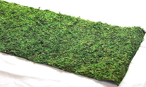 Preserved Moss Runner and Mats (18in x 48in Runner)