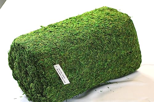 Preserved Moss Runner and Mats (18in x 48in Runner)