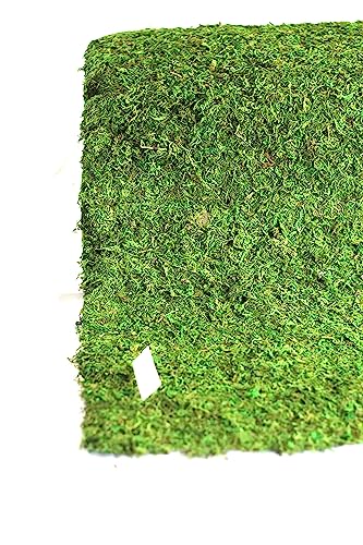 Preserved Moss Runner and Mats (18in x 48in Runner)