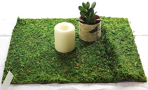 Preserved Moss Runner and Mats (18in x 48in Runner)