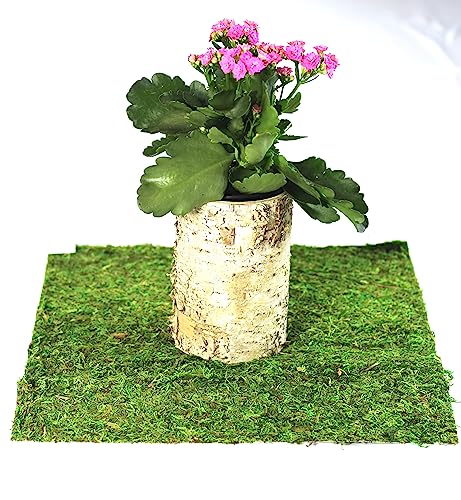 Preserved Moss Runner and Mats (18in x 48in Runner)