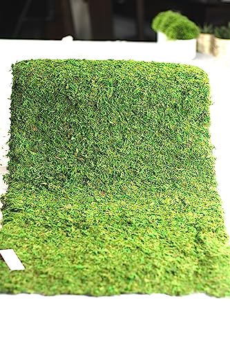 Preserved Moss Runner and Mats (18in x 48in Runner)