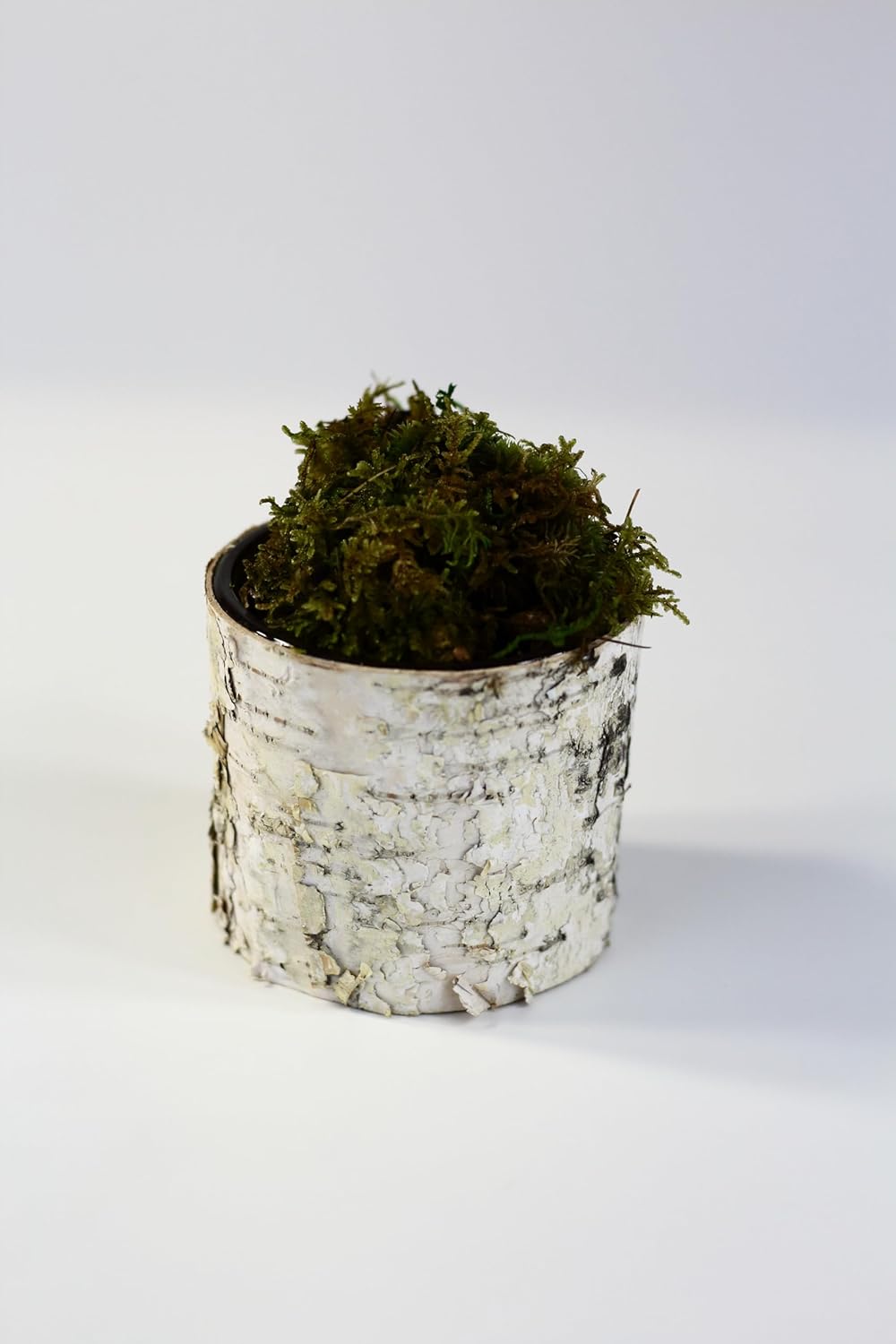 Birch Cover vase & Candle Holder (6)