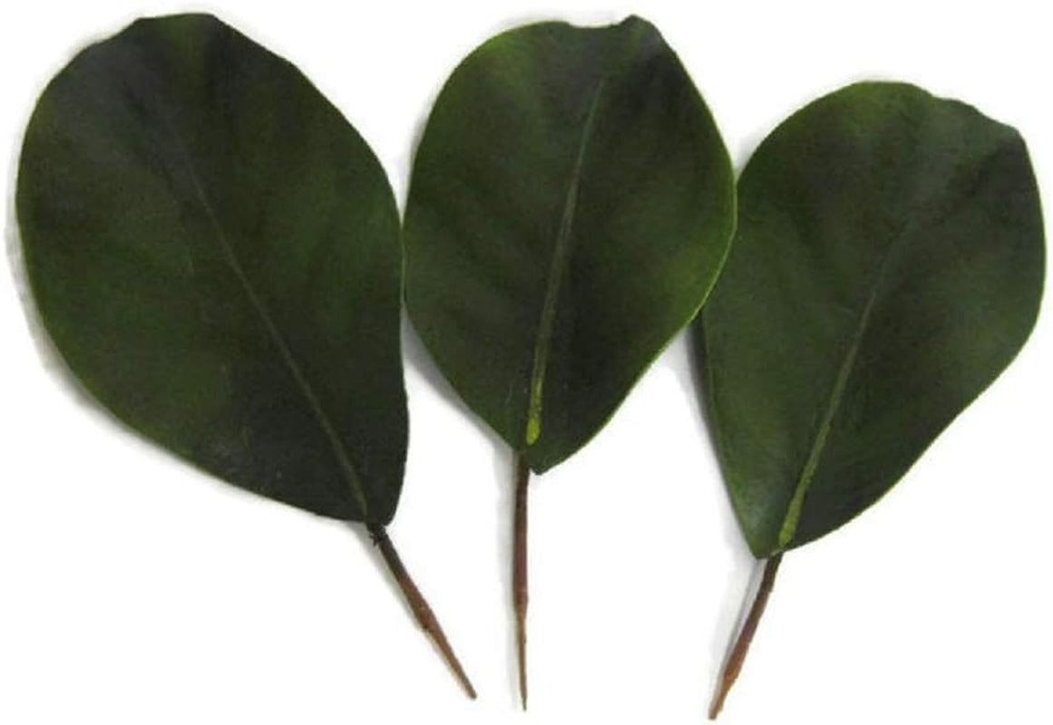 Artificial Magnolia Leaves Pack of 30 Leaves