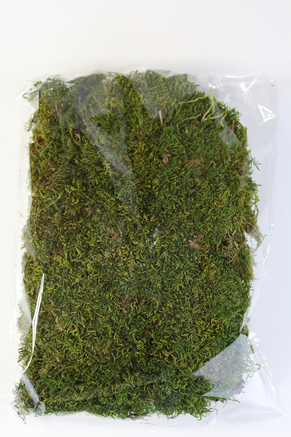 Preserved Sheet Moss Green (4, Ounces)