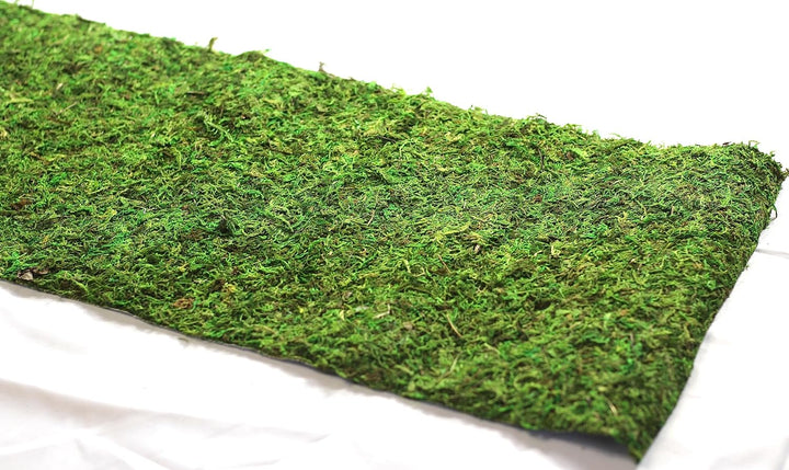 Preserved Moss Runner and Mats (12In X 6Ft)