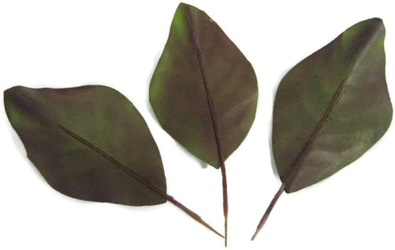 Artificial Magnolia Leaves Pack of 30 Leaves