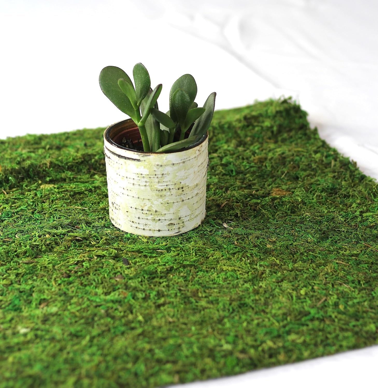 Preserved Moss Runner and Mats (18In X 16In Mat)