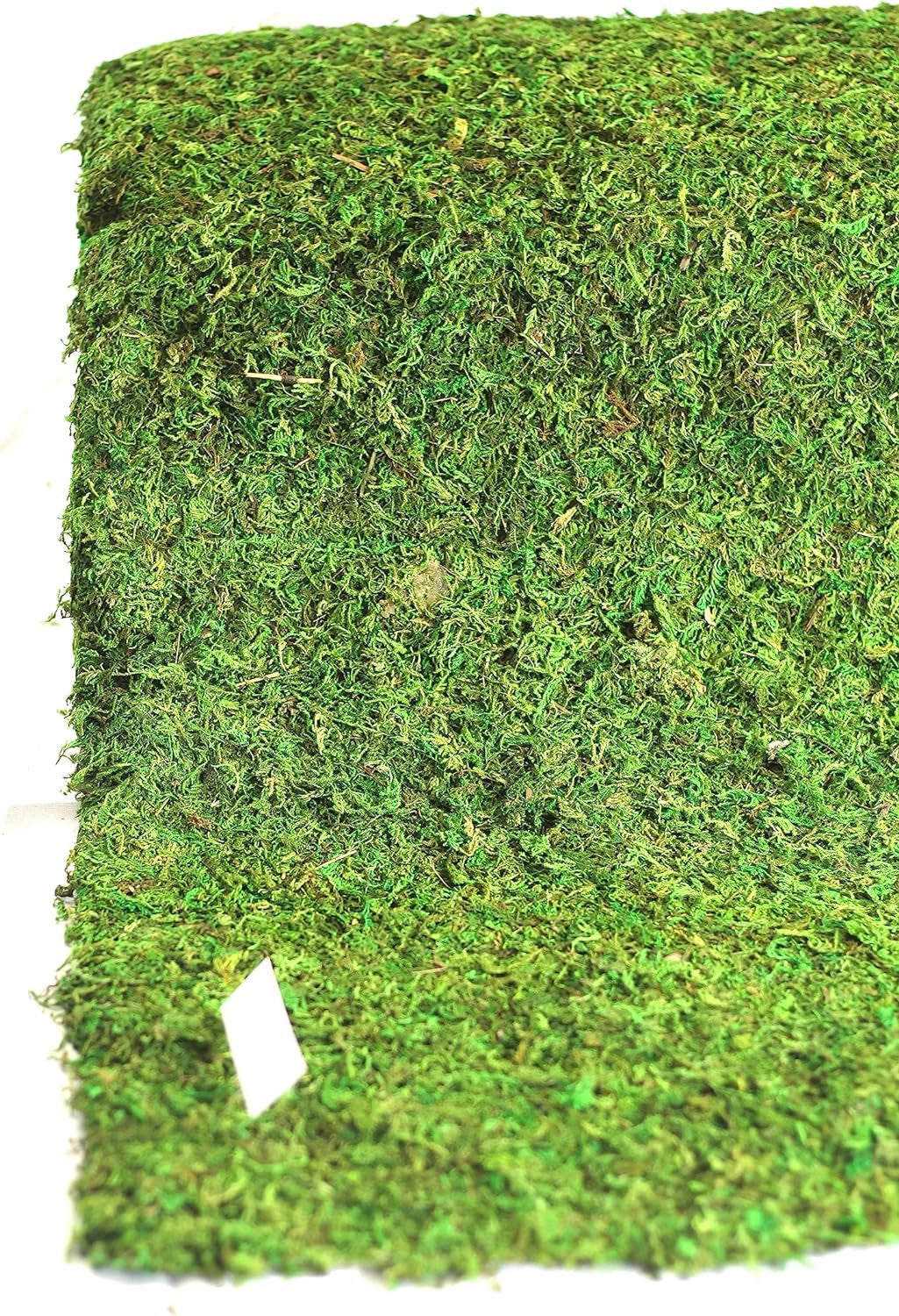 Preserved Moss Runner and Mats (18In X 25Ft Runner)