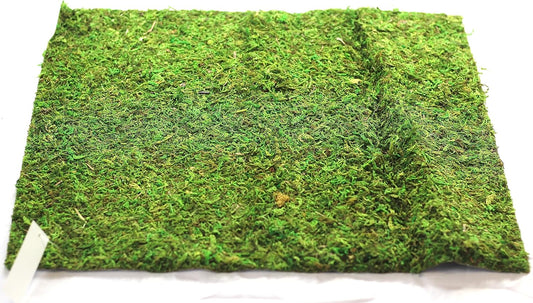 Preserved Moss Runner and Mats (18In X 16In Mat)