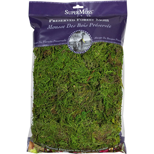 Preserved forest moss in fresh green color. 8 oz bag