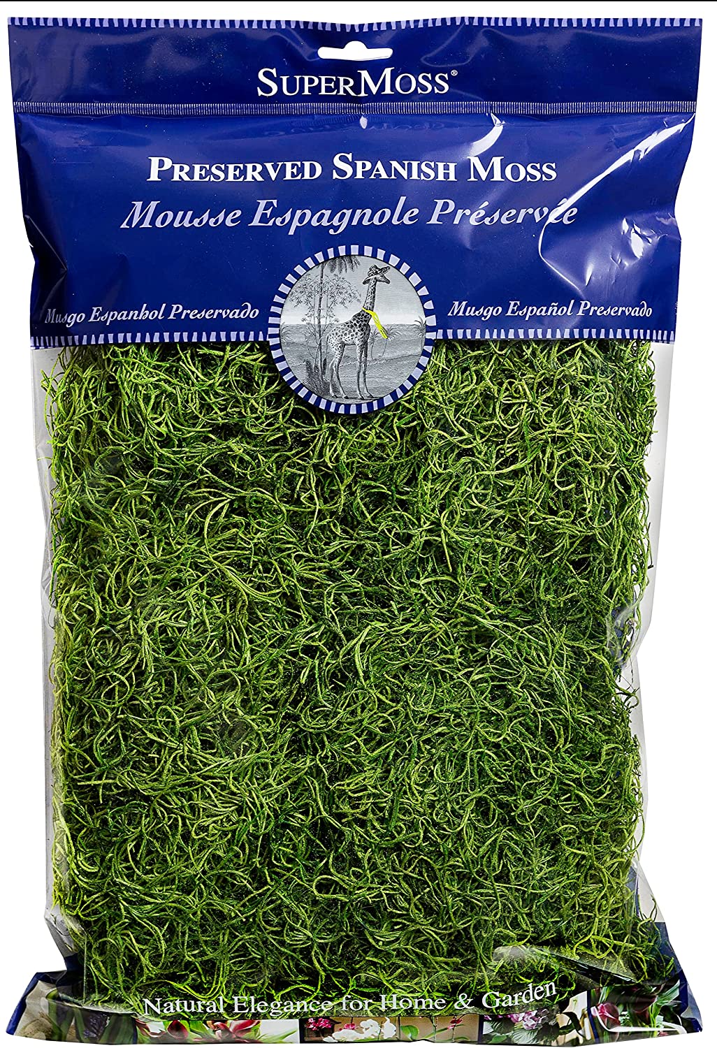 preserved spanish moss grass green 8oz bag